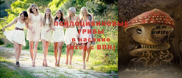 ГАЛЛЮЦИНОГЕННЫЕ ГРИБЫ Белокуриха