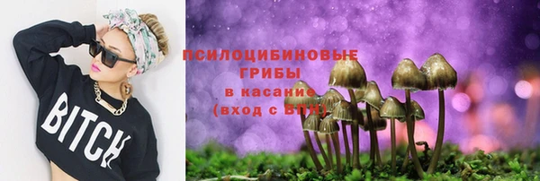 ГАЛЛЮЦИНОГЕННЫЕ ГРИБЫ Белокуриха