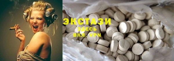 твердый Богданович