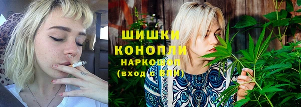 ГАЛЛЮЦИНОГЕННЫЕ ГРИБЫ Белокуриха