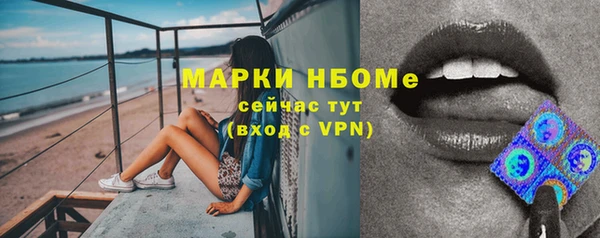 ГАЛЛЮЦИНОГЕННЫЕ ГРИБЫ Белокуриха