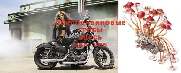 соль ск Белоозёрский