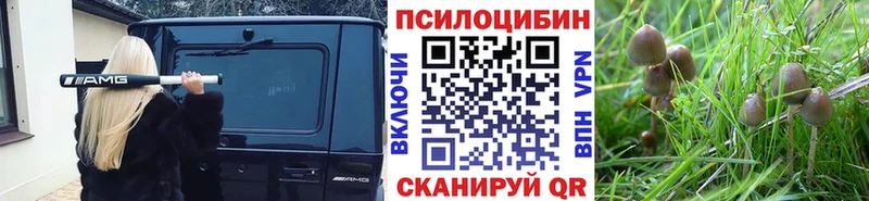 Псилоцибиновые грибы мухоморы  Касимов 